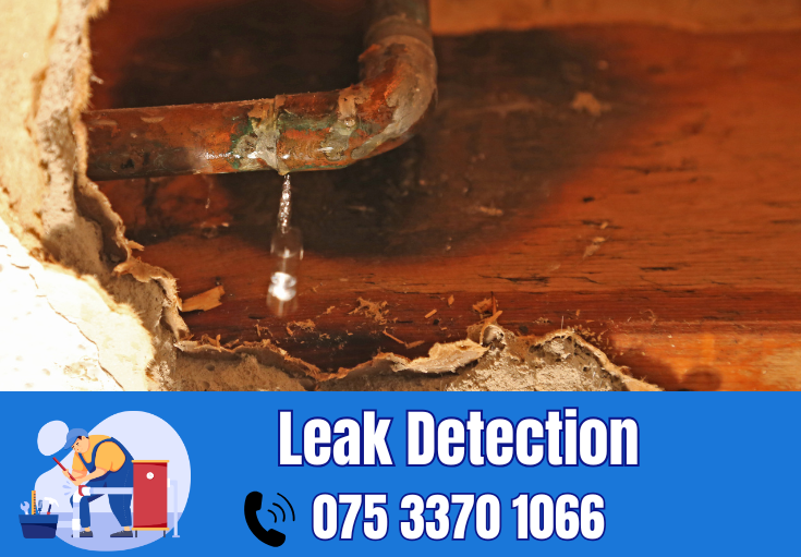 leak detection Higham