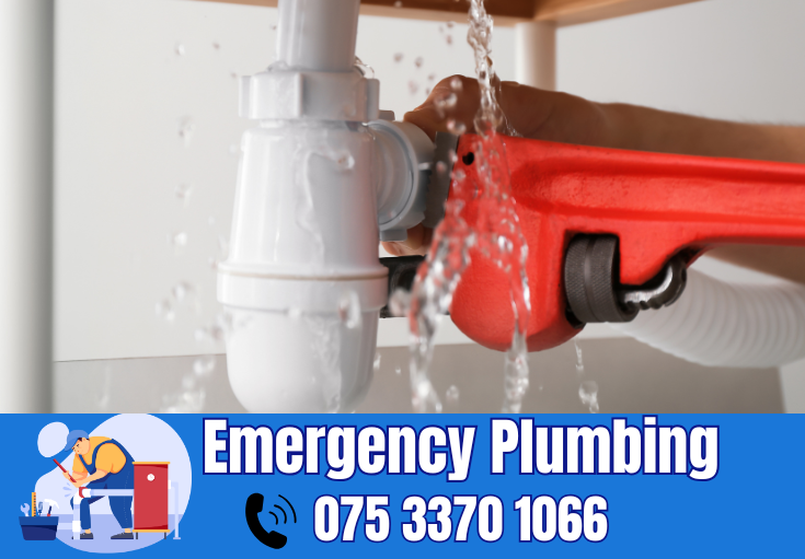  plumber Shorne