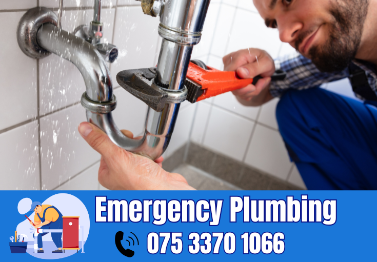  plumber Cuxton
